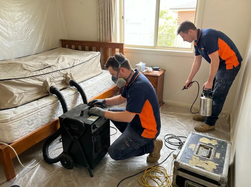 Bed Bug Thermal & Chemical Treatment in DesMoines, AI